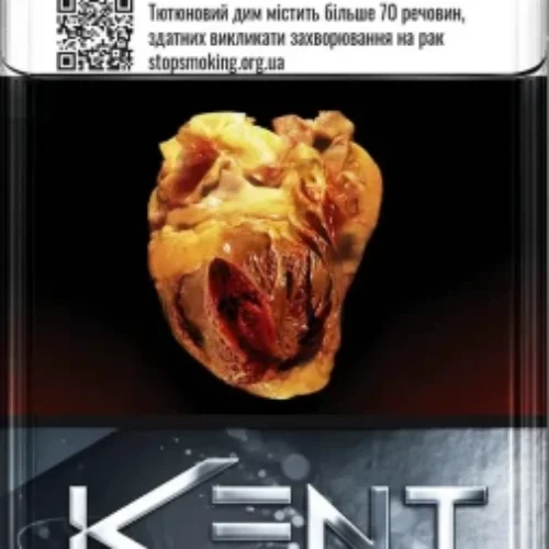 Цигарки Kent Mode D-Series Silver 20 шт