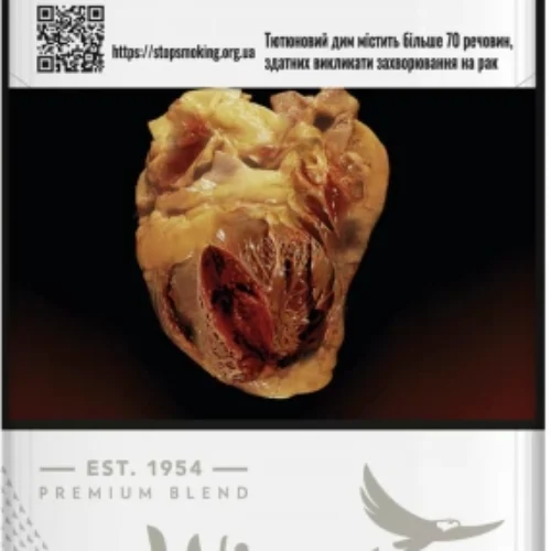 Цигарки Winston True Silver 20 шт